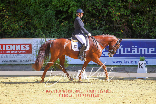 DKP41812 | Turniersportfotografie; Pferdefotografie; Dressurfotografie