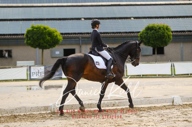 DKP40373 | Turniersportfotografie; Pferdefotografie; Dressurfotografie