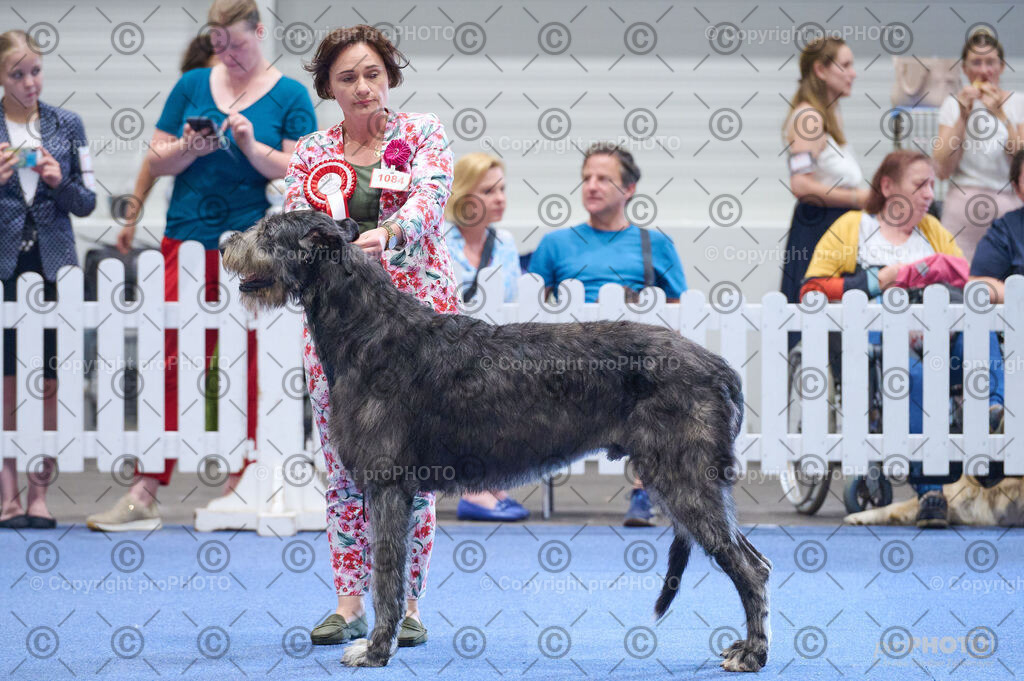 202406_ÖKV-IHA-Tulln24_DSC_5181 | proPHOTO - Realisiert mit Pictrs.com