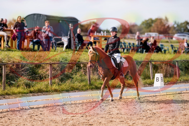 2026_10_03_Siefer-Hof_122308_Z81_22974438 | Professionelle Reitsport-, Turnier- und Eventfotografie von Robert Broda. Galerien mit ausgewählten und bearbeiteten Bildern direkt online ansehen und bestellen.