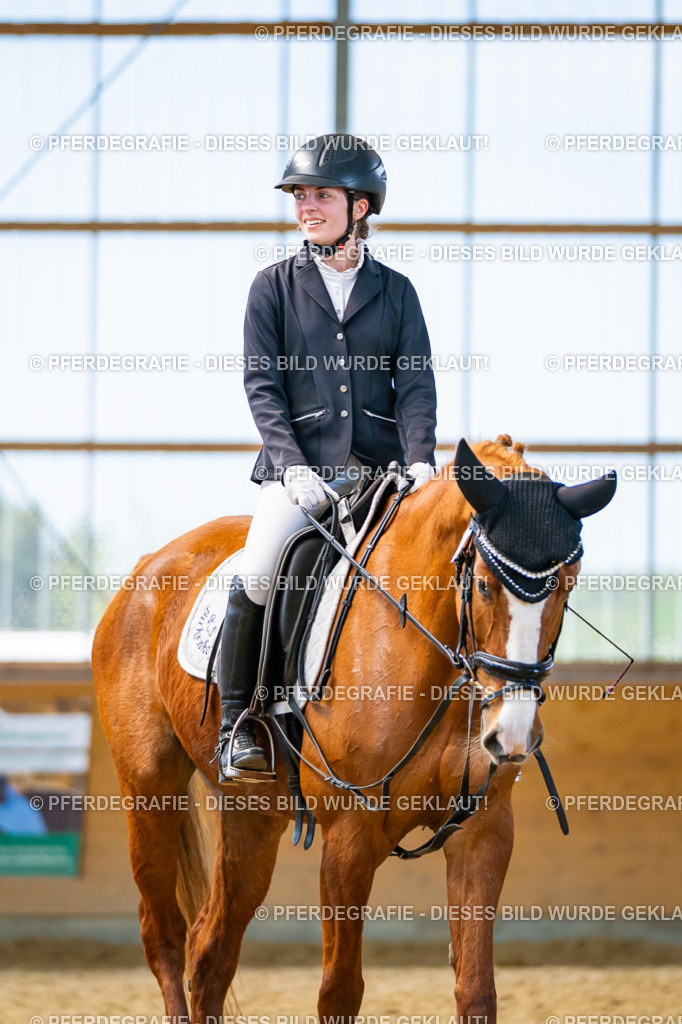 DSC09562 | Pferdegrafie