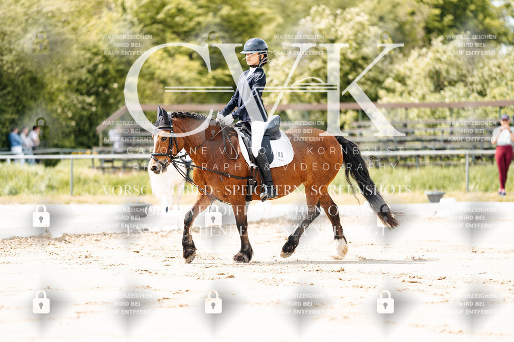 CK901679 | Turnierfotografie Pferdefotografie Trier Rheinland-Pfalz Pferdesport Reitsport Tierfotografie Sportfotografie Pferdevideo Pferdevideografie Equestrianvideography equestrianphotography  - Realisiert mit Pictrs.com