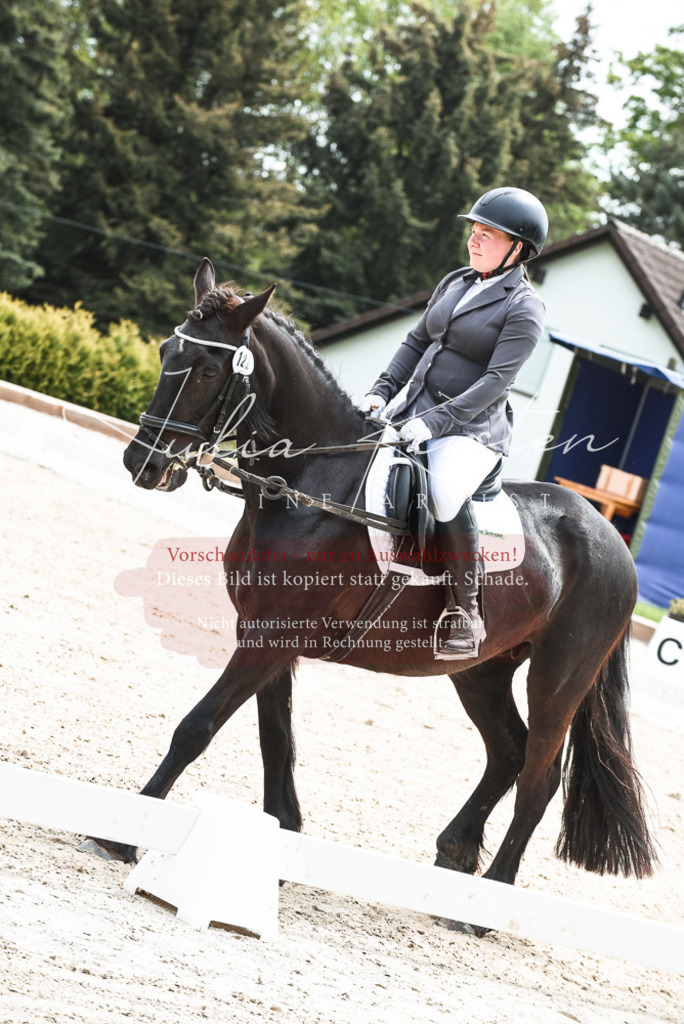 20230518_JK-Röhrsdorf-11-0037 | Pferde- und Turnierfotografie in Westsachsen. Pferdeportraits, Auftragszeichnungen und intuitive Kunst.