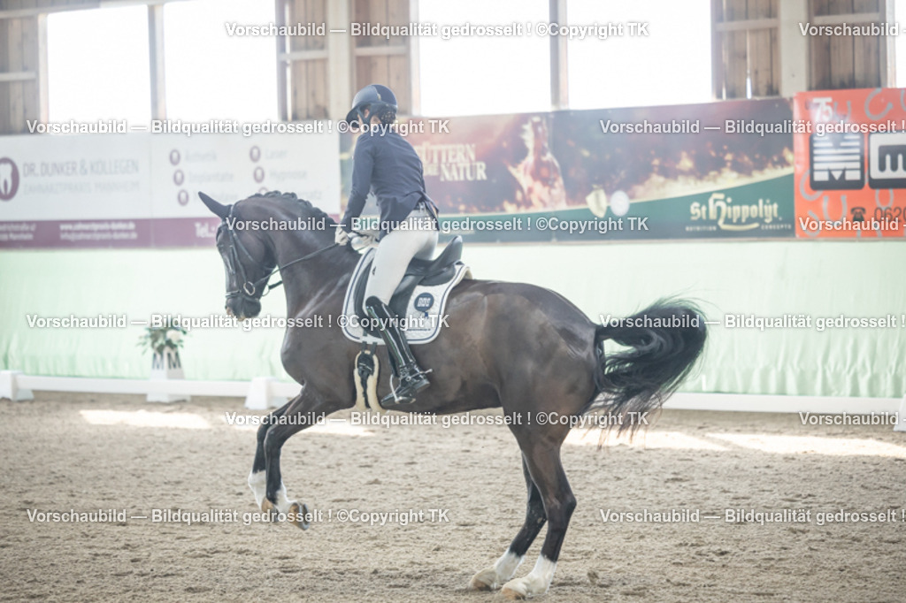 _D5A0682 | Emotionale Pferde- & People-Fotografie rund um Heidelberg, Leimen & Umgebung. Natürliche Fotos von Pferd, Mensch & Familie. Jetzt Termin sichern!