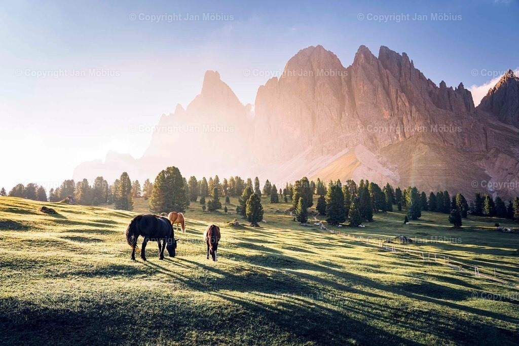 _DSC1400 | Leipzig Wandbilder Drucke Prints Leinwand Stadtmotive Leipzig Fotosdruck Kunstdrucke Bilder Leipzig Stadtansichten Acrylglasbilder Leipzig Wanddeko Fine Art Prints Wandbilder Büro Leipzig Bilder Praxis Zuhause Bilderdruck Poster Posterlounge Kunstdrucke - Realisiert mit Pictrs.com