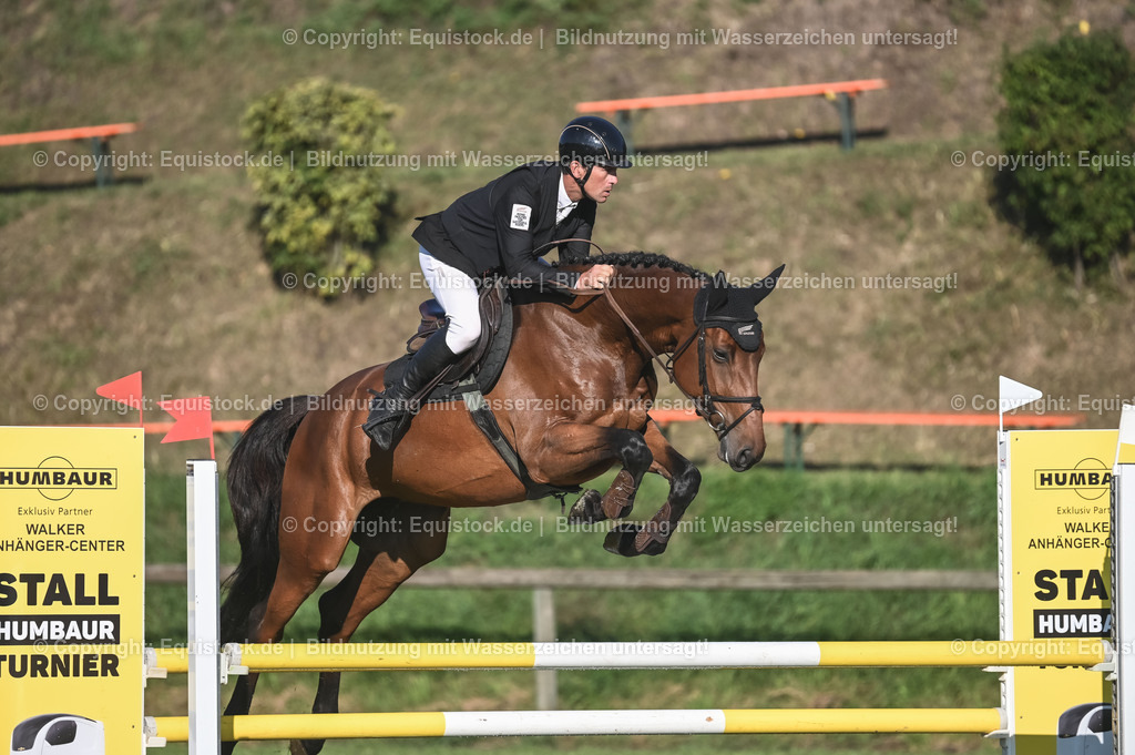 20230908_14-15_Springpferde-A_0024 | equistock