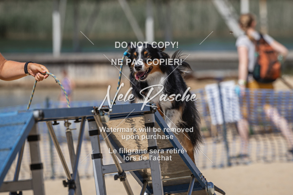 nelerasche_saBeachility_660 | nelerasche