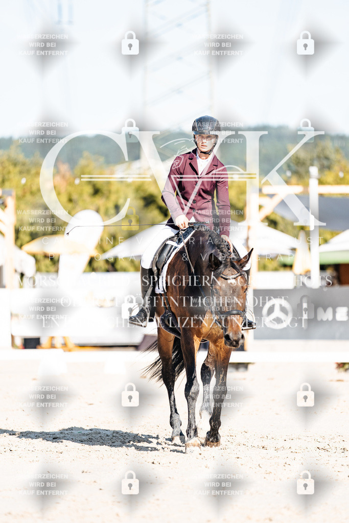CK907620 | Turnierfotografie Pferdefotografie Trier Rheinland-Pfalz Pferdesport Reitsport Tierfotografie Sportfotografie Pferdevideo Pferdevideografie Equestrianvideography equestrianphotography  - Realisiert mit Pictrs.com