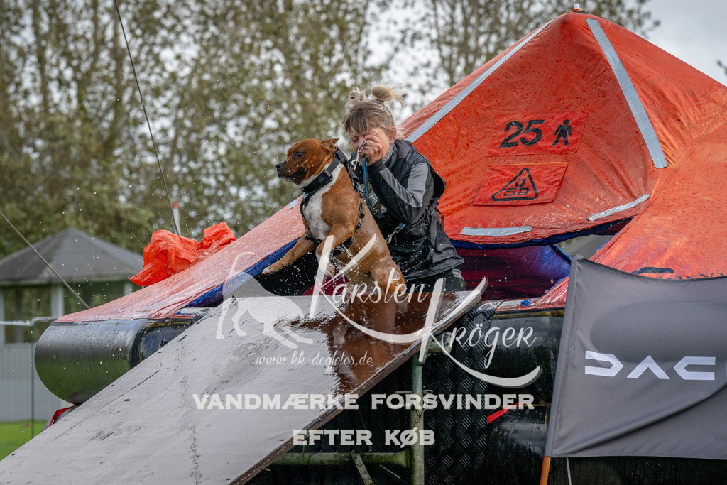 1218-93214 | kk-dogfotos