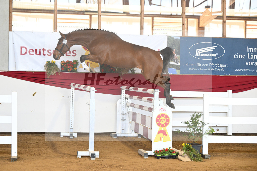 Kat-Nr. 43 Ehawee v. Colestus_Fischer_16251028 | hf-fotografie - Realizzato con Pictrs.com