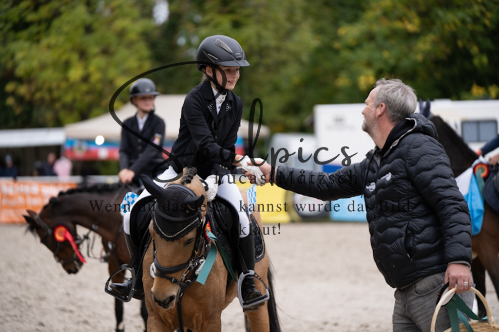 A7V09598 | Pferdefotograf