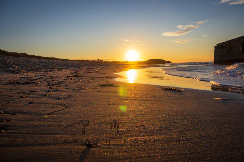 _Sommer2022-0742 | Photographies and more - Realisiert mit Pictrs.com