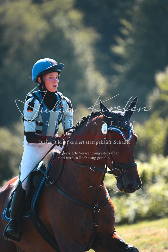 DSC_8069 | Pferde- und Turnierfotografie in Westsachsen. Pferdeportraits, Auftragszeichnungen und intuitive Kunst.