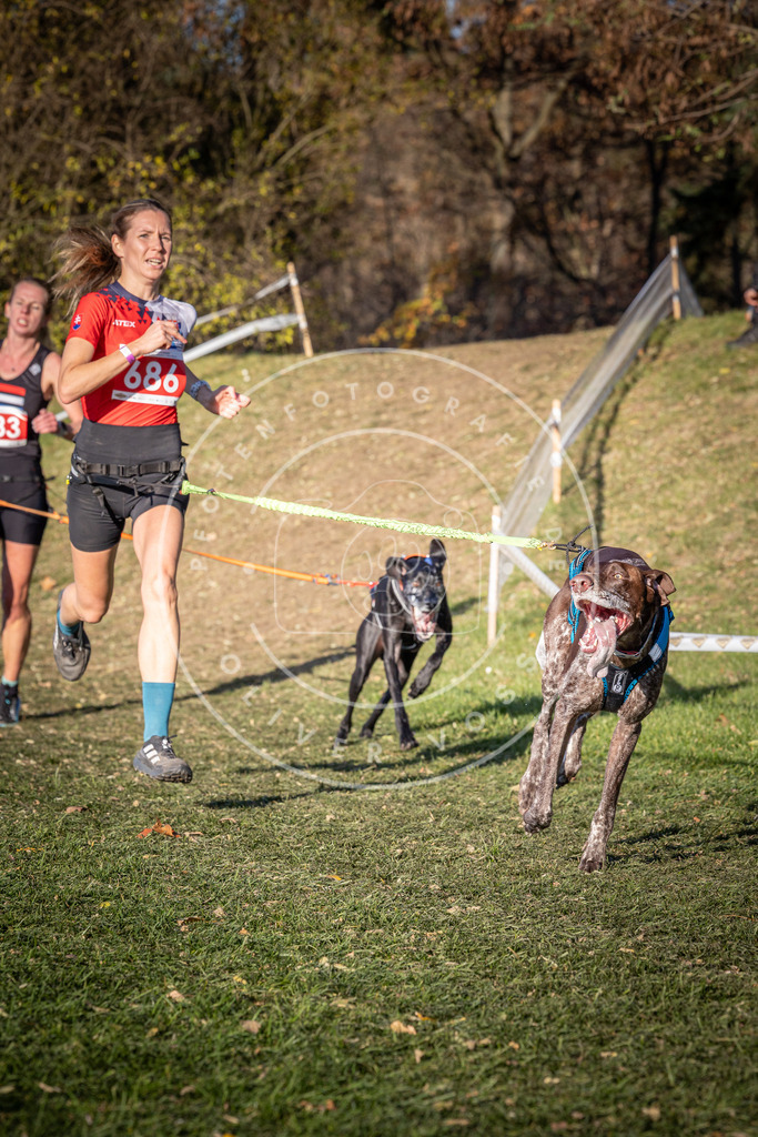 CaniXpix_0L8A9307 | Hundefotografie, Tierfotograf, Pfotenfotografie, Fotoshooting Hund, Hunde Portrait, Hundesport, Hundeportraits, Heideshooting, Hunde, Sportfotograf, Hundefotograf, Turnierhundsport, THS,  - Realisiert mit Pictrs.com