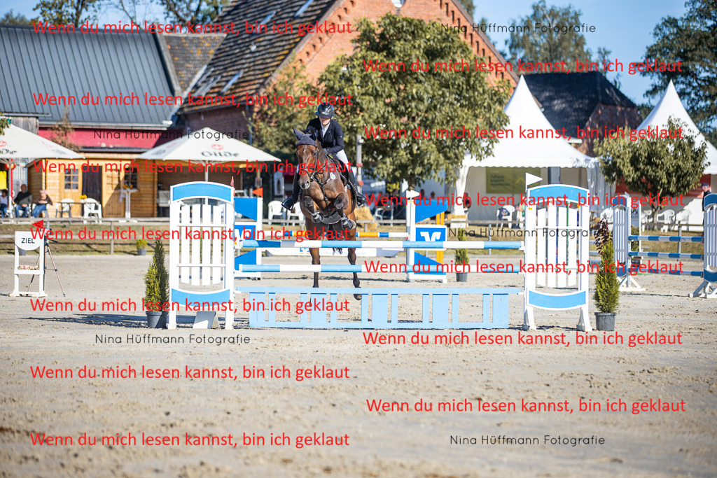 BK1A6048 | Turnierbilder Turnierfotos Nina Hüffmann Turnierfotografie Pferdefotografie Tierzeichnung Haustierzeichnung Pferdezeichnung Hundezeichnung Videograf  - Realisiert mit Pictrs.com