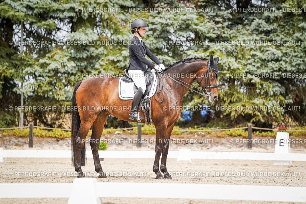 DSC05801 | Pferdegrafie