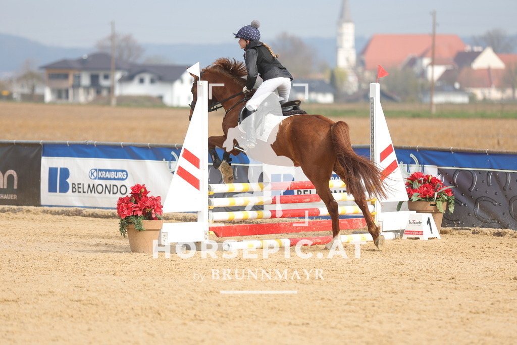 0P6A9225 | Willkommen bei Brunnmayr - Design & Fotografie – Ihrem Spezialisten für Reitturniere und Pferdeveranstaltungen in Oberösterreich, Salzburg und Bayern! Seit über 17 Jahren sind wir leidenschaftlich dabei.