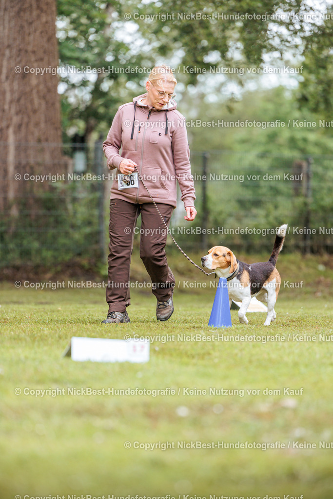 RO-Blumenthal-2026-Nickbest-Hundefotografie-4869 | Dein Hund! Dein Moment! Deine Erinnerungen! Hundefotografie in Bremen Blumenthal. Ich fange die besonderen Momente deines Vierbeiners ein – ob Indoor mit Blitzanlage oder in der freien Natur. Sicher dir dein Moment und dein Termin für eure Erinnerungen.