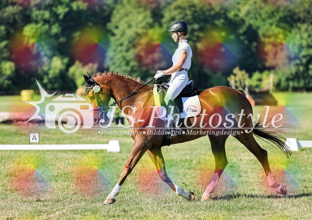 20260628_14a_VA_Dressur-98 | JS-Photostyle - Sport-/Portrait- & Eventfotografie