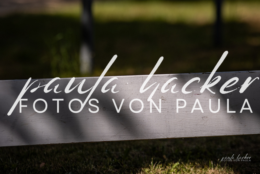 IMG_8060 | Erleben Sie dynamische Sport- und emotionale Tierfotografie in Süddeutschland mit Fotos von Paula. Spezialisiert auf Pferde- und Hundefotografie sowie Sportevents. Kontaktieren Sie mich für einzigartige und ausdrucksstarke Bilder Ihrer besonderen Momente.