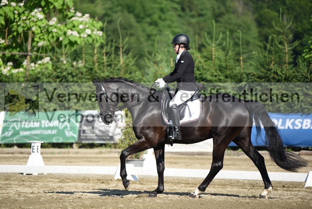 DSC_7092 | equestrian-live-com