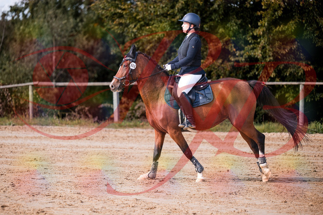 2026_10_03_Siefer-Hof_145724_Z81_39005977 | Professionelle Reitsport-, Turnier- und Eventfotografie von Robert Broda. Galerien mit ausgewählten und bearbeiteten Bildern direkt online ansehen und bestellen.