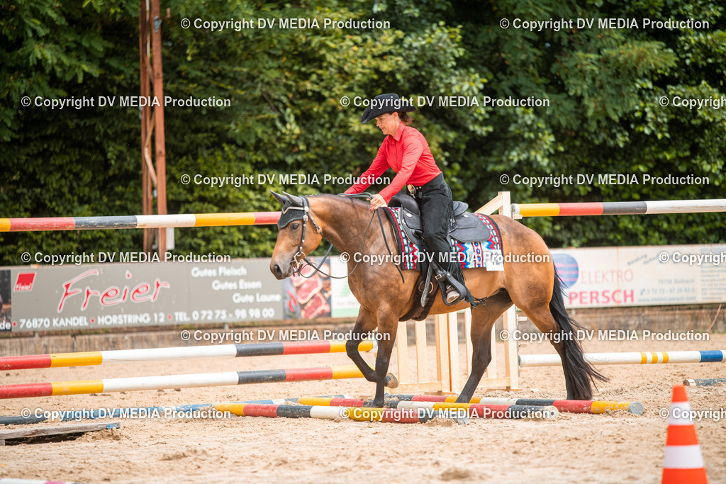 ZS2_7988 | dv-media-shop - Realisiert mit Pictrs.com