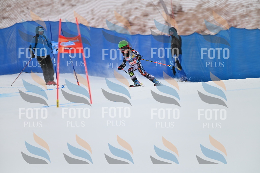 BGV_0500 | holidayphoto