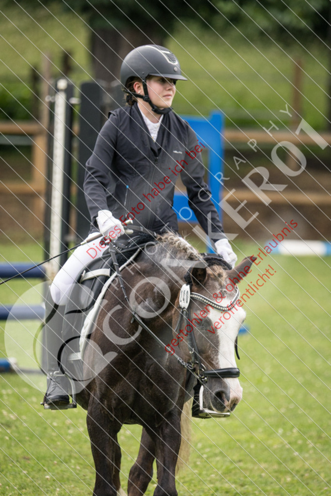 IMG_2754 | Sport-, Event- und Tierfotos in Profiqualität. Einfach auswählen, bestellen und herunterladen. Dein Moment – perfekt festgehalten.