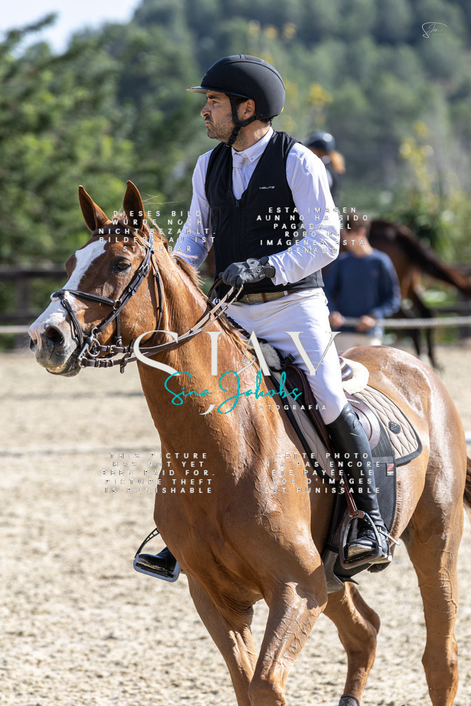 IMG_0413 | s-jay-photography - Realisiert mit Pictrs.com