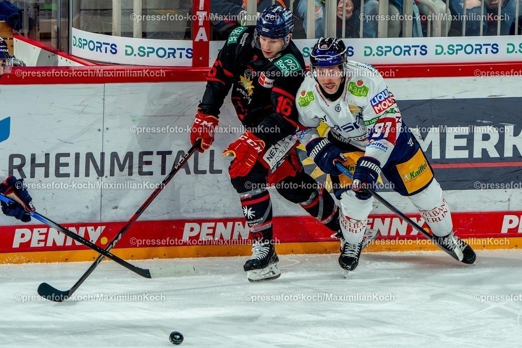 KKU12012501002 | 12.01.2025, xkkux, Eishockey, Penny DEL, Düsseldorfer EG - Eisbären Berlin, PSD-BANK Dome: Kyle Cumiskey (DEG #16) im Zweikampf gegen Gabriel Fontaine (Eisbären Berlin #97)