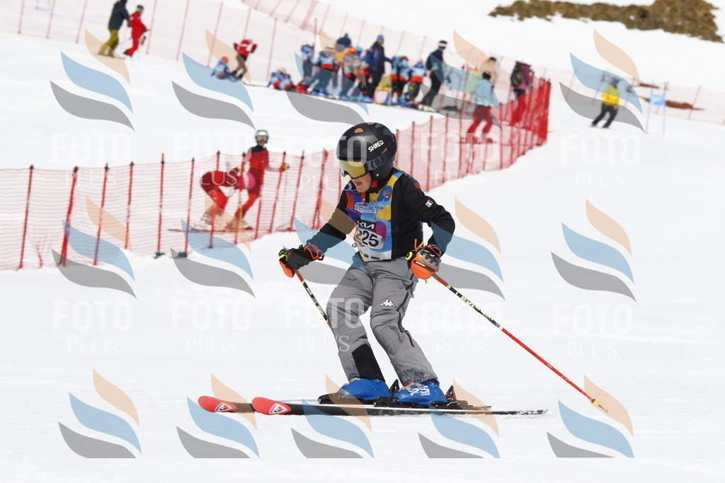 _U3G5815 | holidayphoto