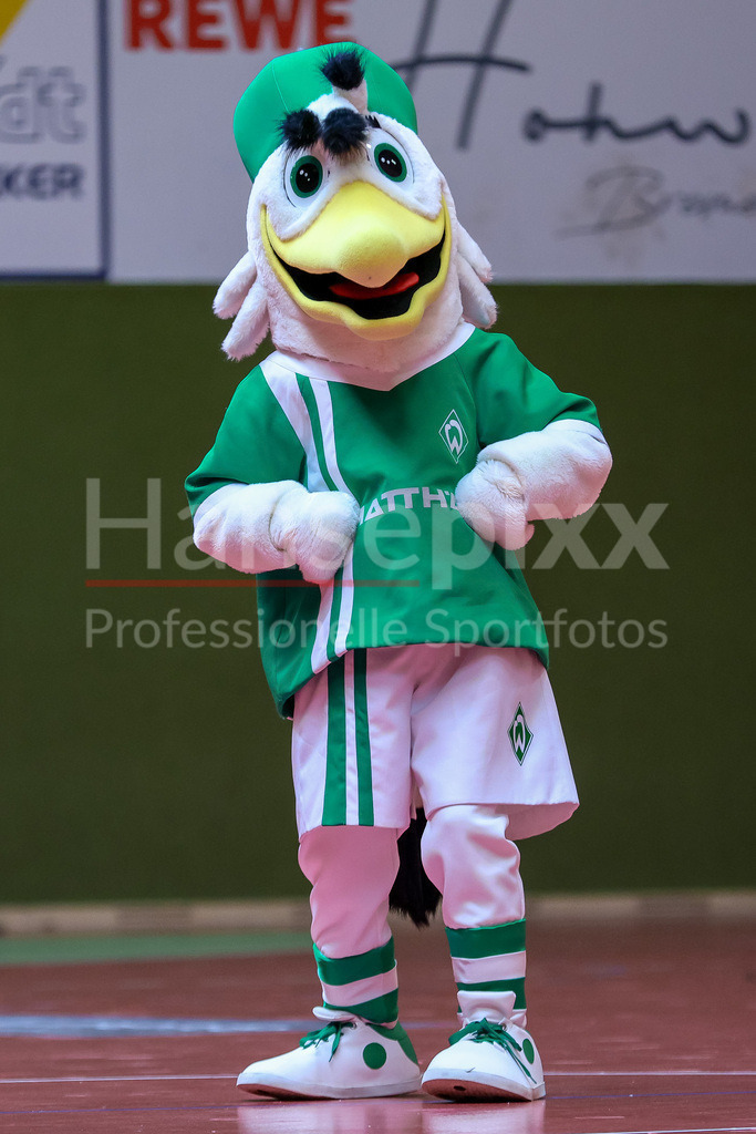 Handball, 2. Bundesliga Frauen, SV Werder Bremen - SV Union Halle-Neustadt | Das Maskottchen des SV Werder Bremen Kids Club Toni die Möwe heizt dem Publikum ein, Stimmung, Unterhaltung