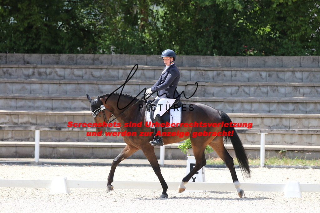 IMG_4544 | lmwpictures - Realisiert mit Pictrs.com