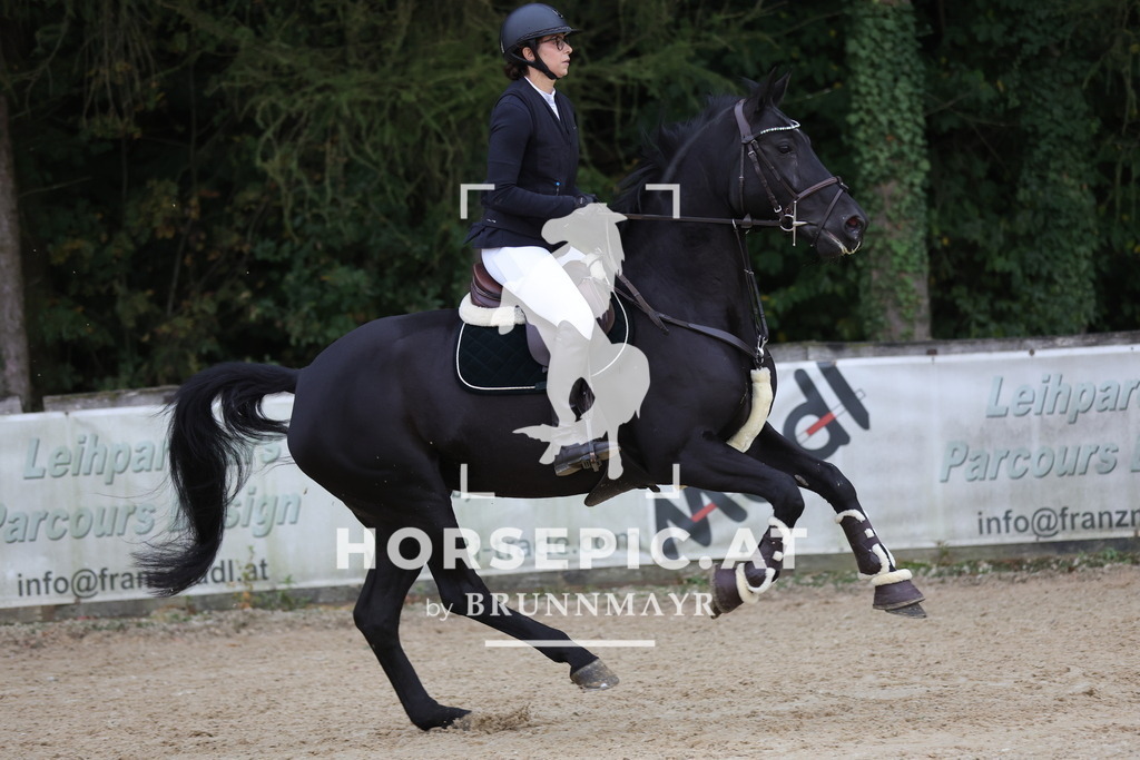 0P6A5121 | Willkommen bei Brunnmayr - Design & Fotografie – Ihrem Spezialisten für Reitturniere und Pferdeveranstaltungen in Oberösterreich, Salzburg und Bayern! Seit über 17 Jahren sind wir leidenschaftlich dabei.