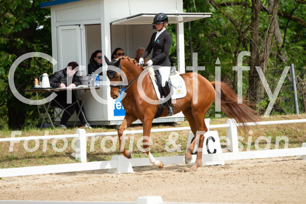 IMG_6835 | Creatify Fotografie