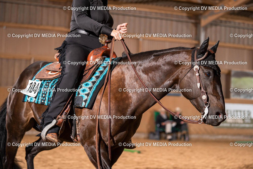 Losheim Tag 2-78 | dv-media-shop - Realisiert mit Pictrs.com