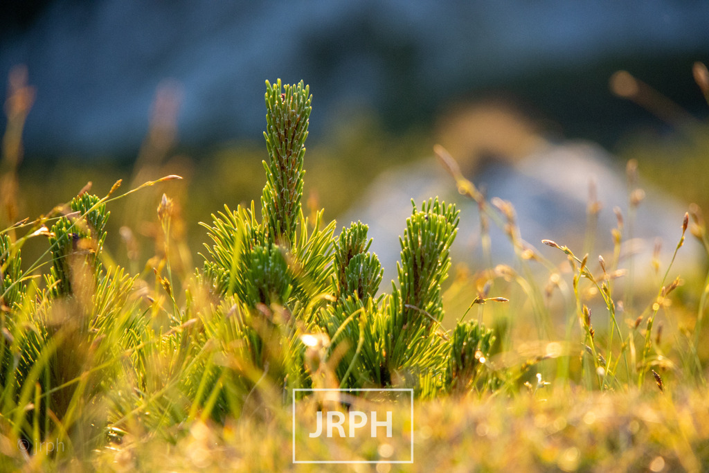 IMG_5652 | jrph - Realisiert mit Pictrs.com