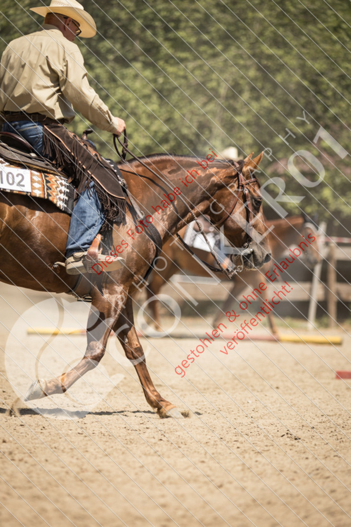 IMG_0525 | Sport-, Event- und Tierfotos in Profiqualität. Einfach auswählen, bestellen und herunterladen. Dein Moment – perfekt festgehalten.