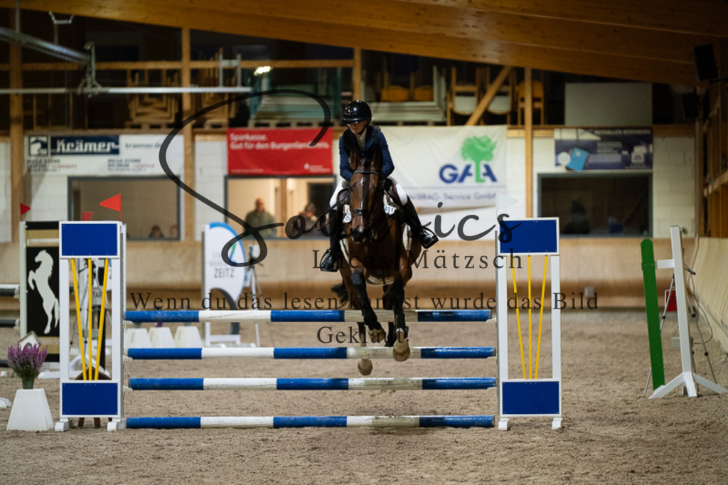 A7V03308 | Pferdefotograf