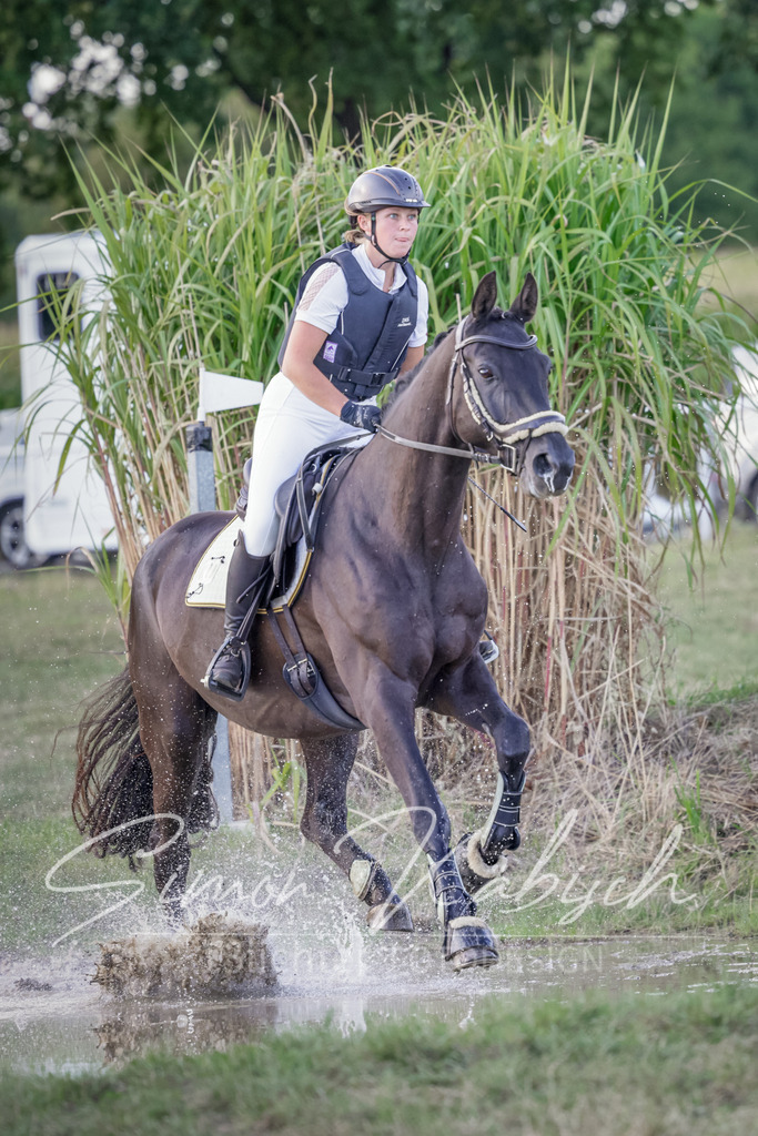 20250906-_3LI7362 | Tierfotografie Pferde, Hunde, Katzen, Haustiere.
Turnierfotografie Reitturniere, Reiten, Springreiten, Dressur in Hanau, dem Main-Kinzig-Kreis und dem Rhein-Main- Gebiet um Frankfurt