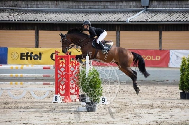 2B4A1321 | pixelfaenger - Realisiert mit Pictrs.com