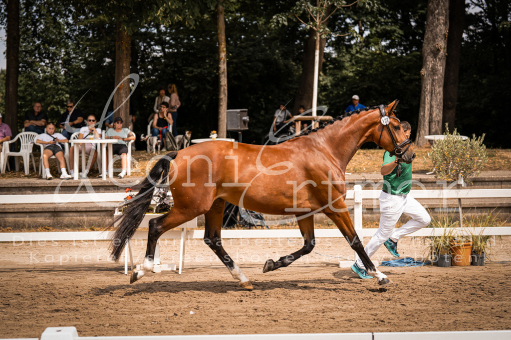 3.Fr00026 | Leoni Ertmer Photography - Realisiert mit Pictrs.com