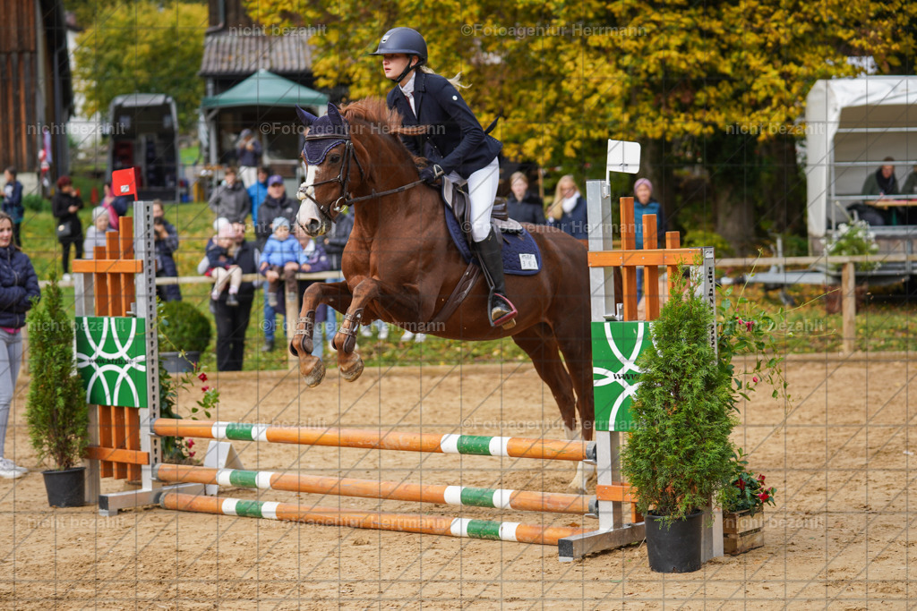 20221009-FAH08530 | Diessen am Ammersee, 2022, Dressur- und Springturnier, Reitsportbilder, Turnierfotografen Bayern, Pferdefotografen, Fotoagentur Herrmann, Turnierbilder