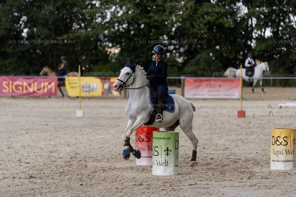 WS_SP_52_SinaFilmArt_IN08861 | working equitationturnier fotograf videograf stoibphotography marixx film working equitation deutschland reitsport turnierfotografie eventfotografie equestrian events