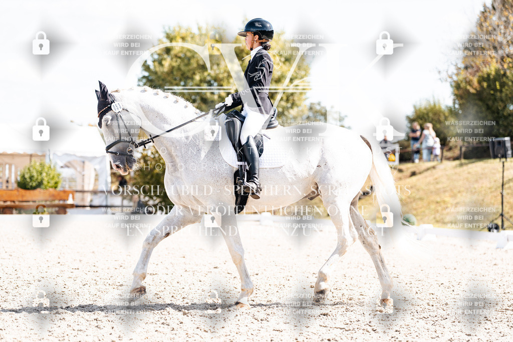 CK902990 | Turnierfotografie Pferdefotografie Trier Rheinland-Pfalz Pferdesport Reitsport Tierfotografie Sportfotografie Pferdevideo Pferdevideografie Equestrianvideography equestrianphotography  - Realisiert mit Pictrs.com