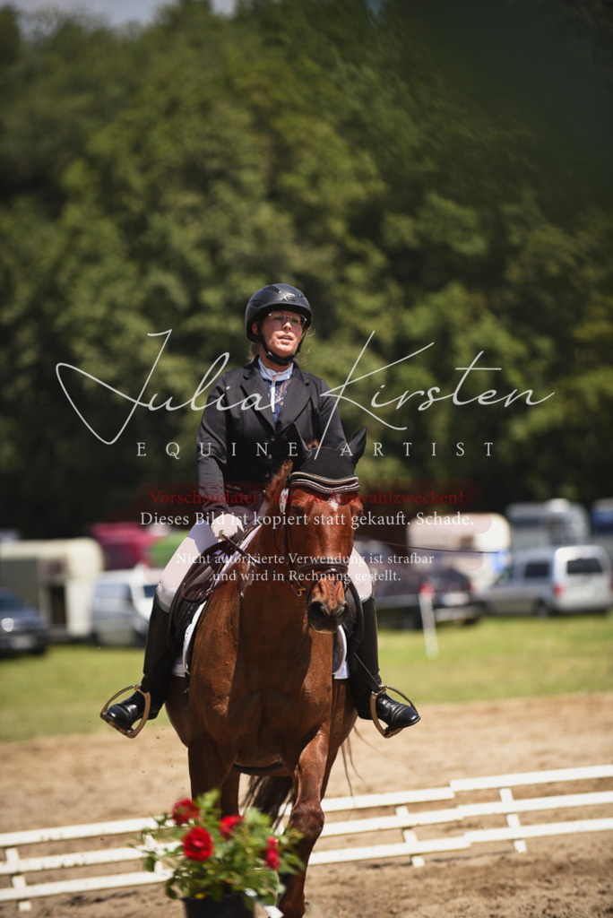 DSC_1313 | Pferde- und Turnierfotografie in Westsachsen. Pferdeportraits, Auftragszeichnungen und intuitive Kunst.