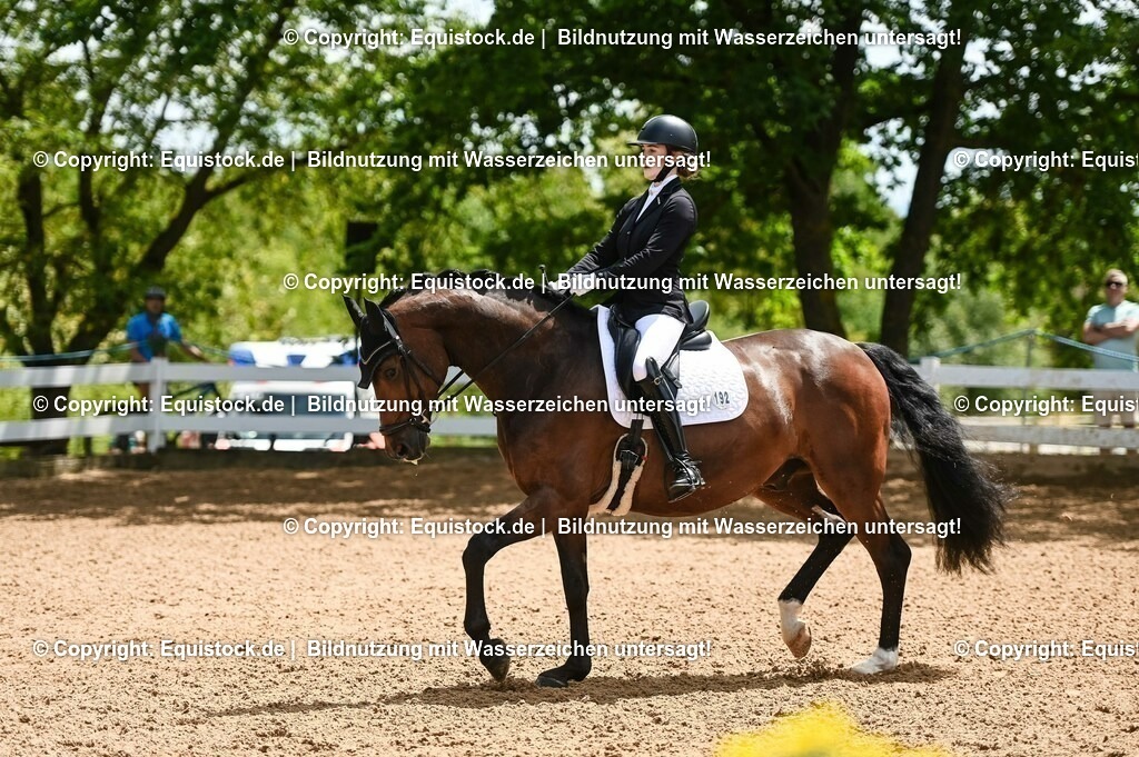 20230716_03_Dressurprfg. Kl.L - Tr._0450 | equistock