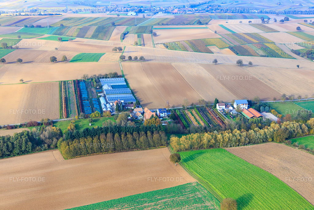 Luftbild: Gärtnerei in Vollmersweiler im Bundesland Rheinland-Pfalz in Deutschland. Foto: IMG_075858.jpg vom 02.11.2014 durch Werner Riehm/FLY-FOTO.de