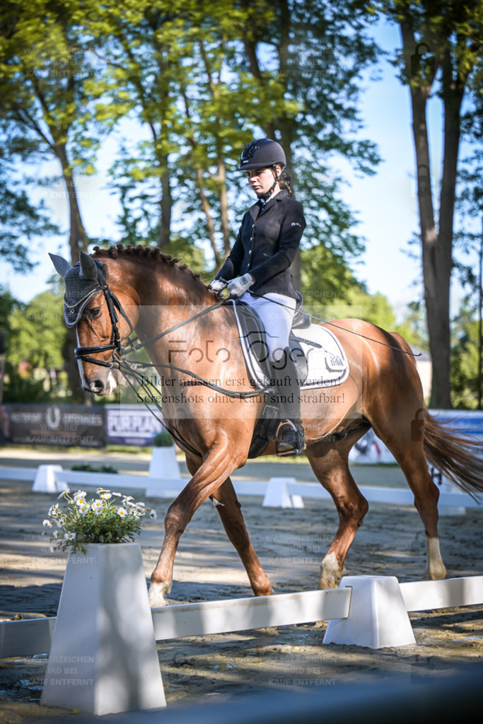 DOS_2944 | Entdecke hochwertige Reitturnierfotos von Foto Oger. Professionell, emotional und authentisch – jetzt Lieblingsmomente im Shop bestellen. - Realisiert mit Pictrs.com